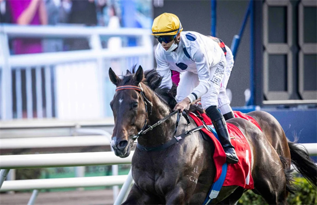 马闻早报丨武汉商学院马术科普项目获国家体育总局立项,22匹一级赛冠军参加香港国际赛事 (8).jpg