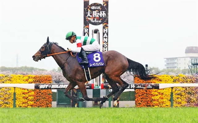 马闻早报丨总奖金超24万的中国马术盛装舞步冠军杯赛将举办,“唯独爱你”挑战3000万奖金香港杯 (8).jpg