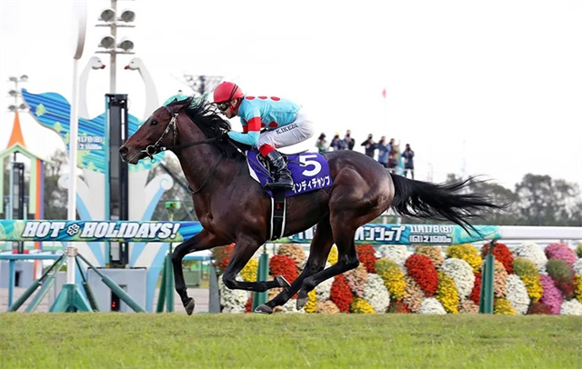 马闻早报丨延期举办2022年FEI青少年场地障碍资格赛,2021香港最大体坛盛事是赛马 (5).jpg