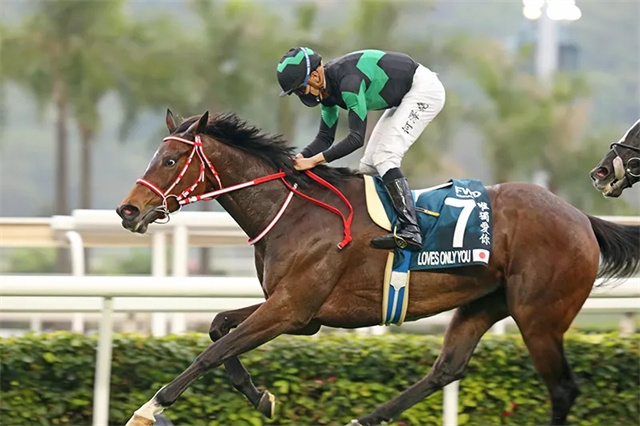 马闻早报丨延期举办2022年FEI青少年场地障碍资格赛,2021香港最大体坛盛事是赛马 (6).jpg