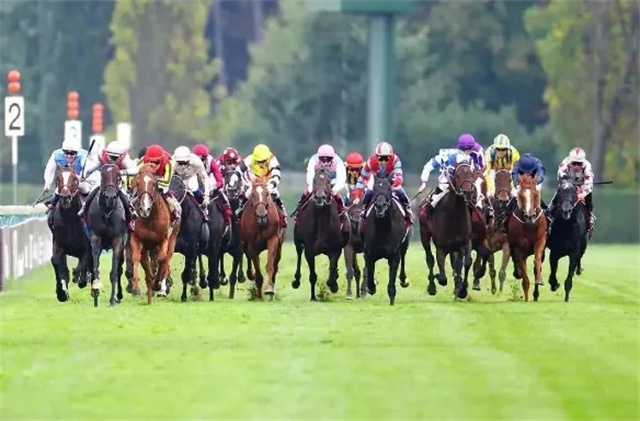 马闻早报丨延期举办2022年FEI青少年场地障碍资格赛,2021香港最大体坛盛事是赛马 (8).jpg