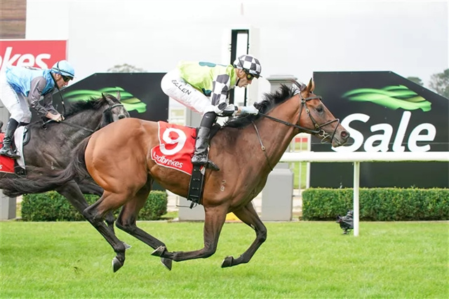 中国马主联盟,澳洲,玉龙繁育,马术,赛马,众里 (1).jpg