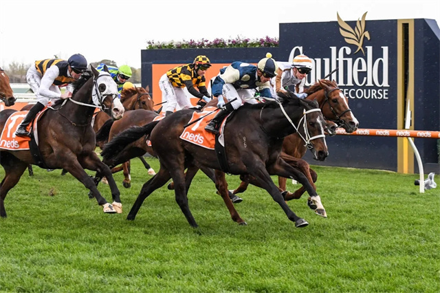 马闻早报丨中马协欲办“中国马术挑战赛”,宣萱盛装主礼香港沙田马场“六福珠宝赛马日 (1).jpg