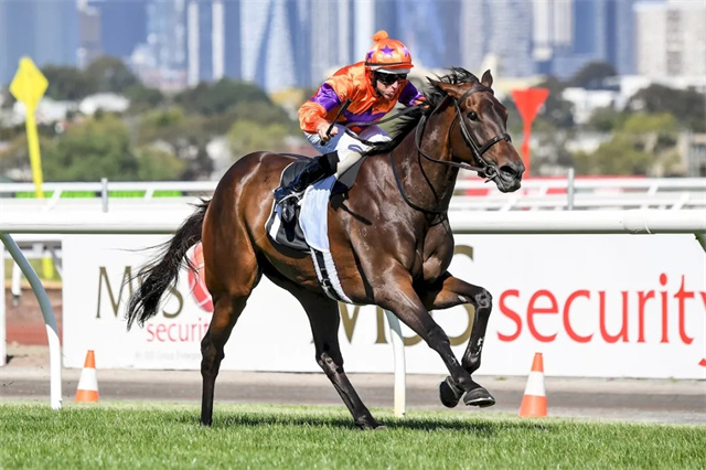 马闻早报丨中马协欲办“中国马术挑战赛”,宣萱盛装主礼香港沙田马场“六福珠宝赛马日 (3).jpg