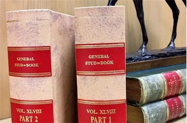 马闻早报丨武汉举办“关爱留守儿童”马术体验活动,“妙发灵机”又发现新伤 (18).jpg