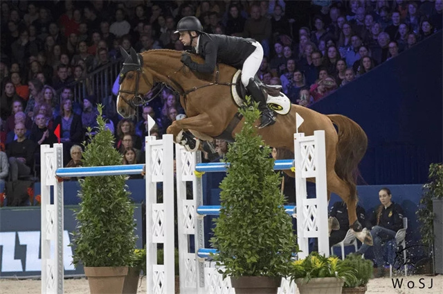 马闻早报丨漳州举办中马协骑手分级考核,52岁薄奇能沙特杯后退役 (2).jpg