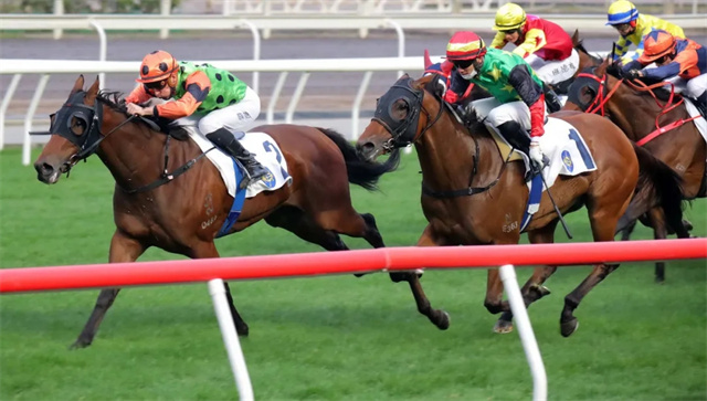 马闻早报丨重庆卓悦马会冬季会员马术精英赛圆满举办,香港特首出席“香港精英运动员赛马日” (9).jpg