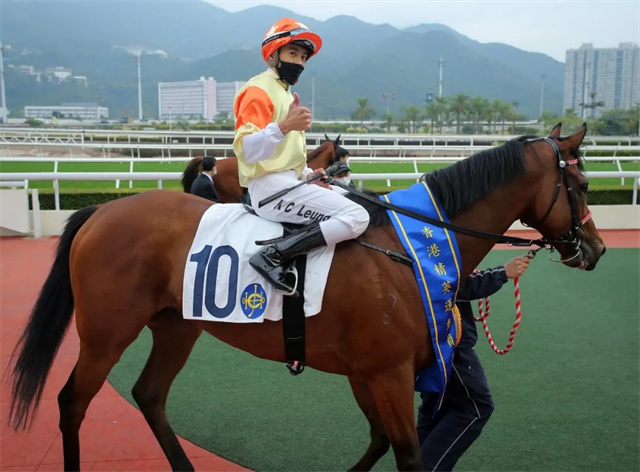 马闻早报丨湖北省马术场地障碍赛联谊赛举办,足球明星欧文加入英国赛马会 (11).jpg