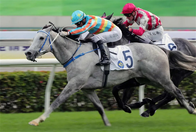 马闻早报丨北马协线上召开2021年理事会,香港赛马会给特区政府捐款6 (5).jpg