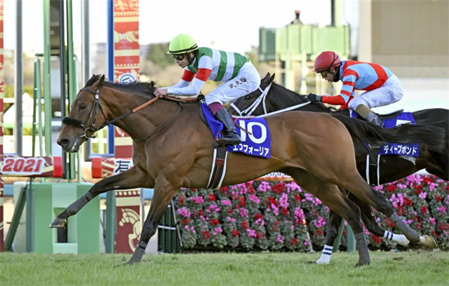 马闻早报丨北马协线上召开2021年理事会,香港赛马会给特区政府捐款6 (7).jpg