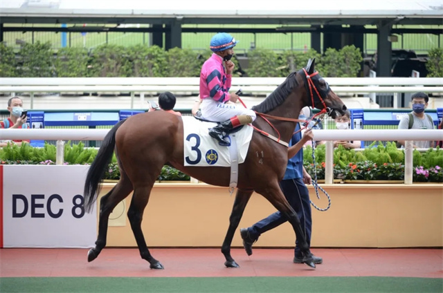 马闻早报丨2022国际马联大赛展望,香港赛马场新冠阳性确诊者为马主 (9).jpg