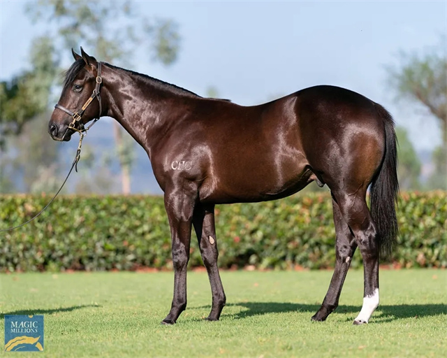 马闻早报丨实地探访桐庐亚运会马术中心,CHC于神奇百万拍卖会刷新纪录 (10).jpg