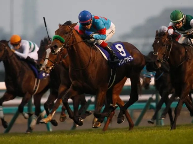 马闻早报丨67岁美国女骑手获大奖,“防爆装束”因伤退役 (2).jpg