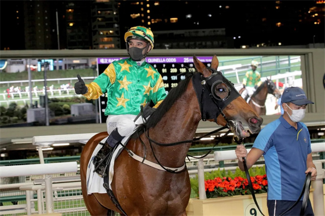 马闻早报丨67岁美国女骑手获大奖,“防爆装束”因伤退役 (9).jpg