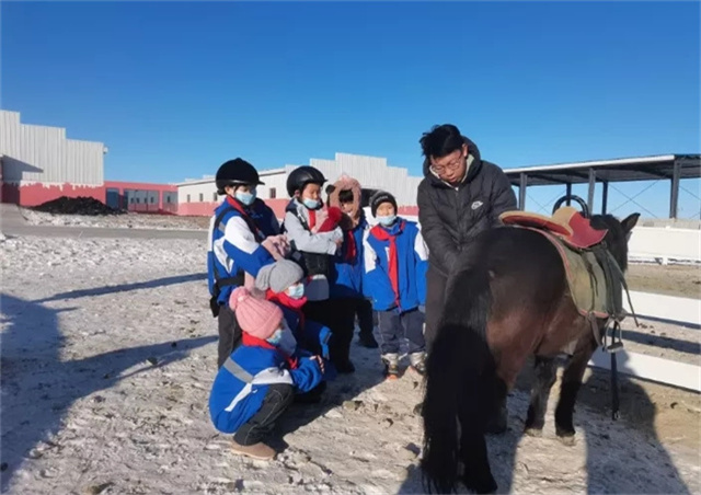 马闻早报丨40对人马组合并列冠军的比赛你见过么?“金枪六十”力争17连胜 (2).jpg