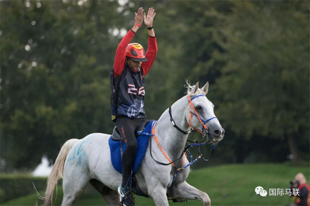 马闻早报丨40对人马组合并列冠军的比赛你见过么?“金枪六十”力争17连胜 (10).jpg