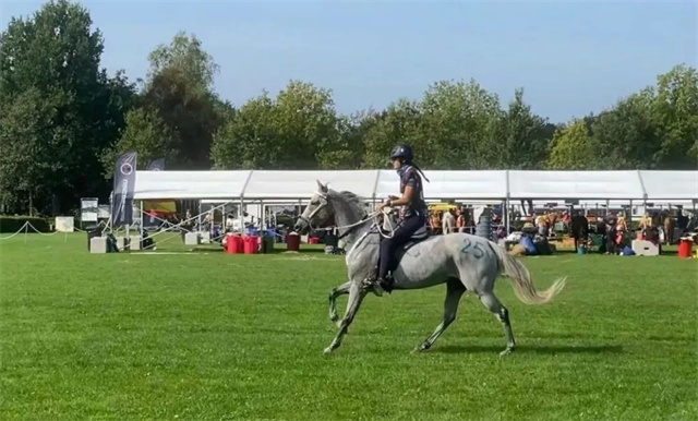马闻早报丨40对人马组合并列冠军的比赛你见过么?“金枪六十”力争17连胜 (11).jpg