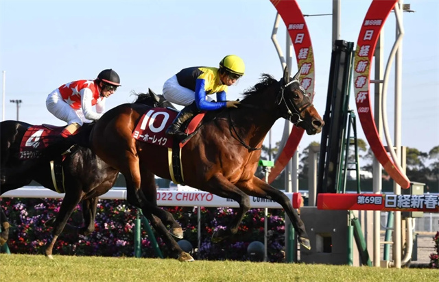 近日,桐庐县召开杭州亚运会桐庐赛区赛事筹办暨场馆化运行动员大会。随后,场馆运行团队首批P类人员约70人正式入驻场馆,为各赛区第一个实现入驻场馆办公的团队 (6).jpg