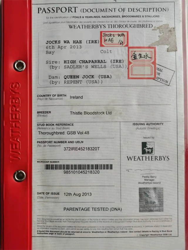 中国的国产速度赛马事业蓬勃发展,在纯血马繁育大军中,又有一家雄心勃勃的马业企业加入其中,它就是路优通马业。 (2).jpg