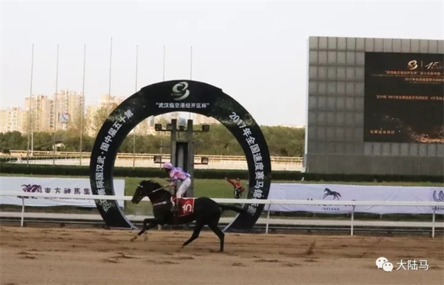 中国的国产速度赛马事业蓬勃发展,在纯血马繁育大军中,又有一家雄心勃勃的马业企业加入其中,它就是路优通马业。 (3).jpg