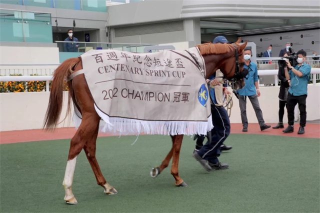 马闻早报丨19岁“高龄马”称雄三星级马术大奖赛,韦达从练首项一级赛冠军 (9).jpg