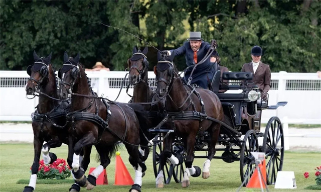 马闻早报丨桂林市青少年马术队成立,赛马邮报聚焦2022玉龙赛事安排 (9).jpg