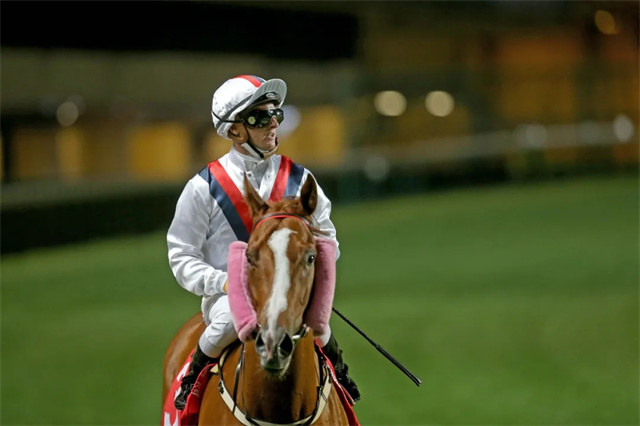 马闻早报丨首届阿勒泰马叼羊比赛举行,美国基兰一月拍卖会成交额近3亿 (4).jpg