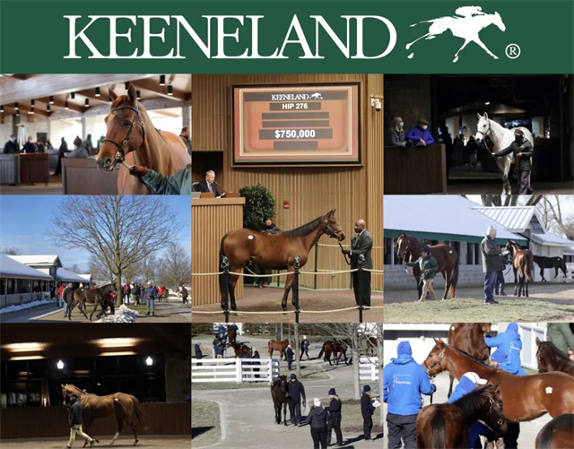 马闻早报丨首届阿勒泰马叼羊比赛举行,美国基兰一月拍卖会成交额近3亿 (9).jpg