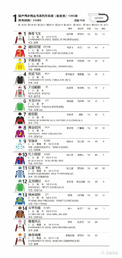 国产两岁纯血马系列常规赛(雄驹赛) 大陆马.jpg