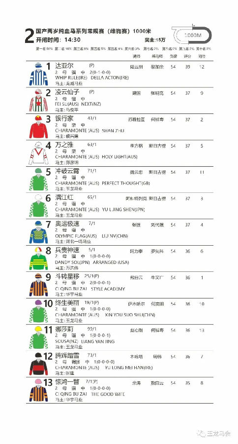 国产两岁纯血马系列常规赛(雌驹赛) 大陆马.jpg