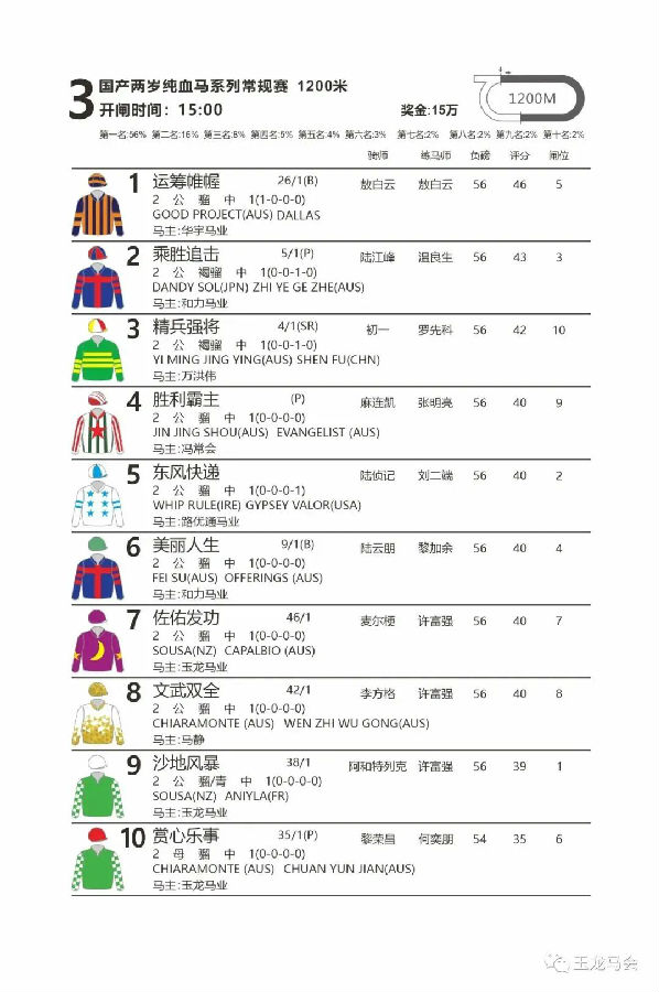 国产两岁纯血马系列常规赛 大陆马.jpg