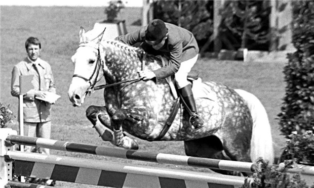 1972年遭遇恐怖袭击的慕尼黑奥运会:诞生史上首位马术个人金牌女骑手 青马网 (5).jpg