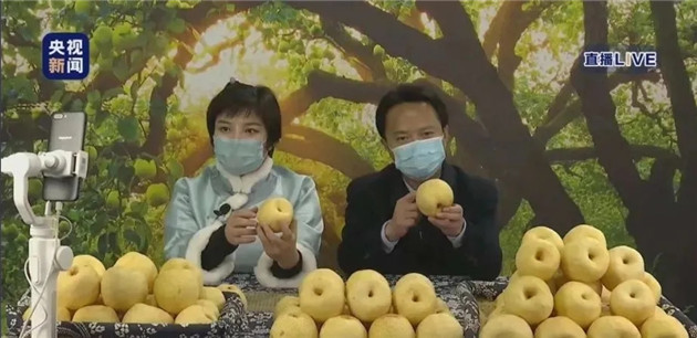砀山县委书记直播带货卖梨!已把砀山打造成马术耐力赛名城 大陆赛马网 (2).jpg