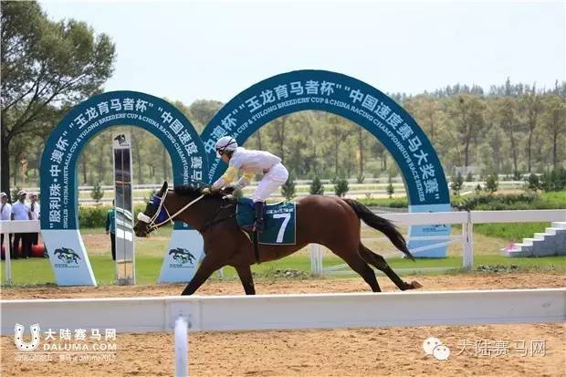 《马上聚焦》玉龙赛马日视频全记录+竞猜游戏中奖名单 2.jpg