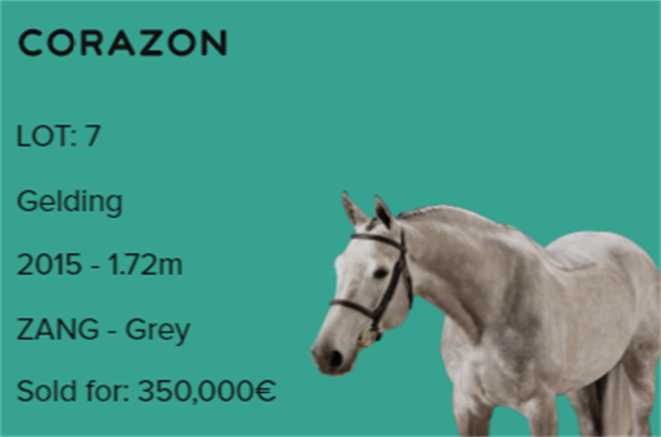 19匹马超2300万成交额!全球顶级温血马拍卖会完美收官! 大陆马 (22).png
