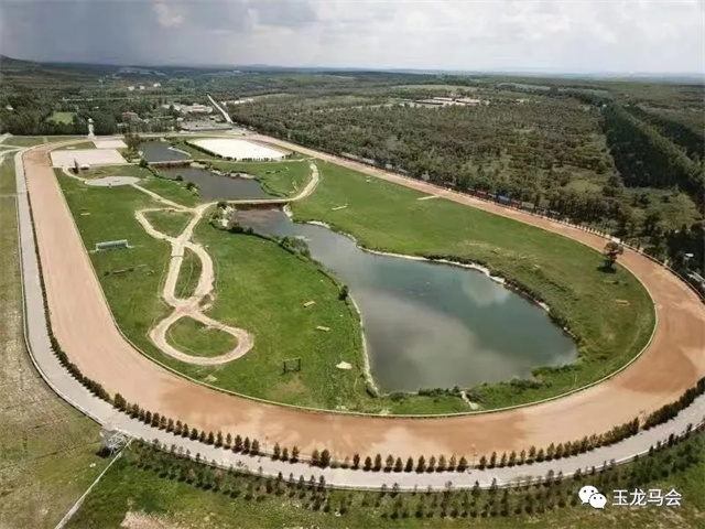 玉龙马业,国产马赛事,玉龙公开赛,赛马,马术,玉龙赛马 (1).jpg