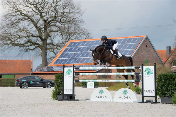 全球顶级马术赛马拍卖会即将开幕!冠军骑手为你选马! 大陆马 (12).png