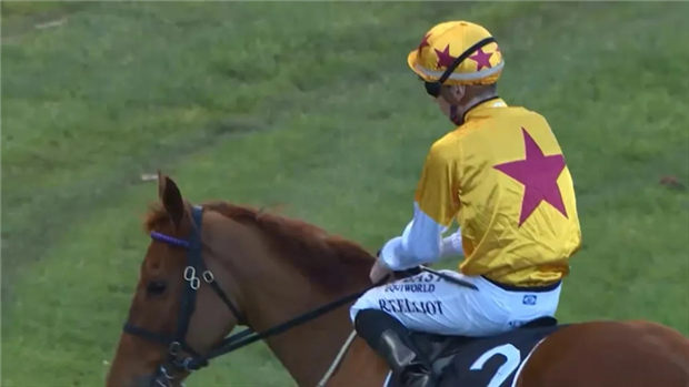 和顺丰马业“非凡荣光”新西兰斩获首冠:3.2万澳币购自殷利殊 大陆赛马网 (2).jpg