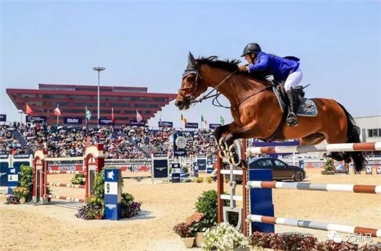 花三个亿为女儿养马,原来有钱人家这么养娃 大陆马 大陆赛马网 (24).jpg