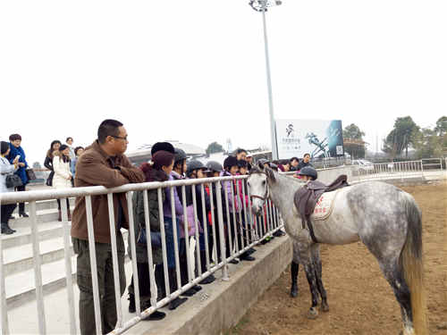 安徽凡辰马术管理有限公司简介2.jpg