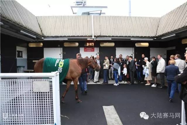 把戴安娜大奖赛带到你身边②:百年古堡是赛马场最美背景 19.jpg