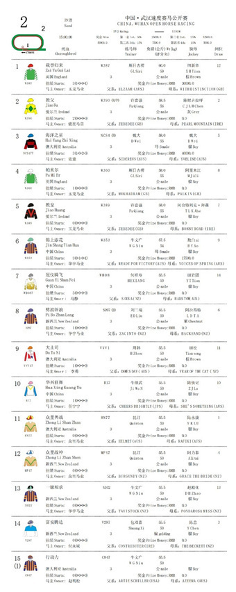 武汉用纯血赛马宣告英雄之城“满血归来”!50余位马主、68驹出战“国庆·中秋”赛马日 (23).jpg