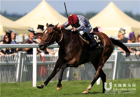 2016皇家阿斯科特赛马会第4日全记录:中国马主胜利失之交臂 奇马 获胜.jpg