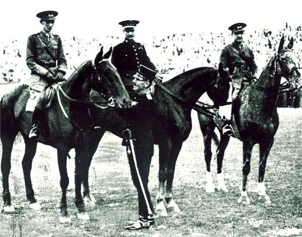 骑手用48英镑购买的马儿获得奥运会场地障碍个人赛金牌! 青马网大陆马 (6).jpg