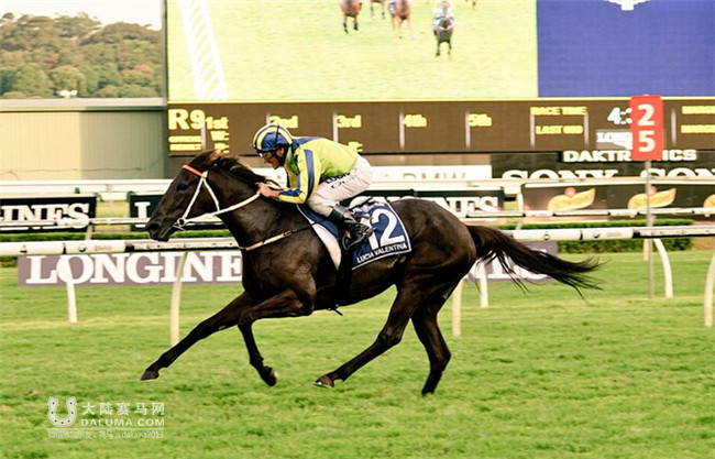 “天涯歌女”(Lucia Valentina)问鼎400万澳币女皇伊利莎白锦标赛冠军 大陆赛马网6.jpg
