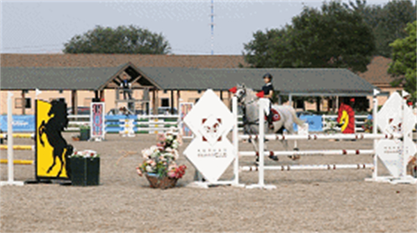 高考考上北京大学,这位马术少女期望登上奥运赛场 大陆马 (1)_副本.jpg