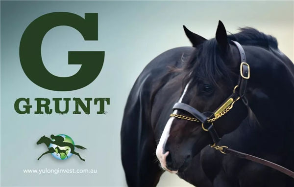 令澳洲瞩目!玉龙马业5000万购入15匹顶尖母马,冠绝神奇百万拍卖会 大陆赛马网 (3).jpg