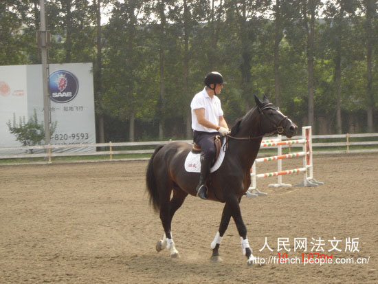 佩特斯先生骑乘天星调良马术进口比利时种公马Vamiro演示骑术