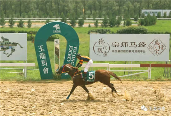 沙宝亮姜武爱驹双双夺冠：玉龙国际赛马公开赛第10赛事日战报