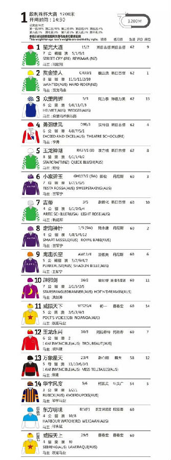 2019玉龙赛道1200米最快赛马:“华宇风度”,缔速1分10秒90 大陆赛马网 (3).jpg